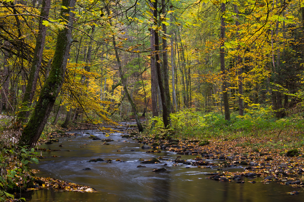Herbstliches Ölschnitztal
