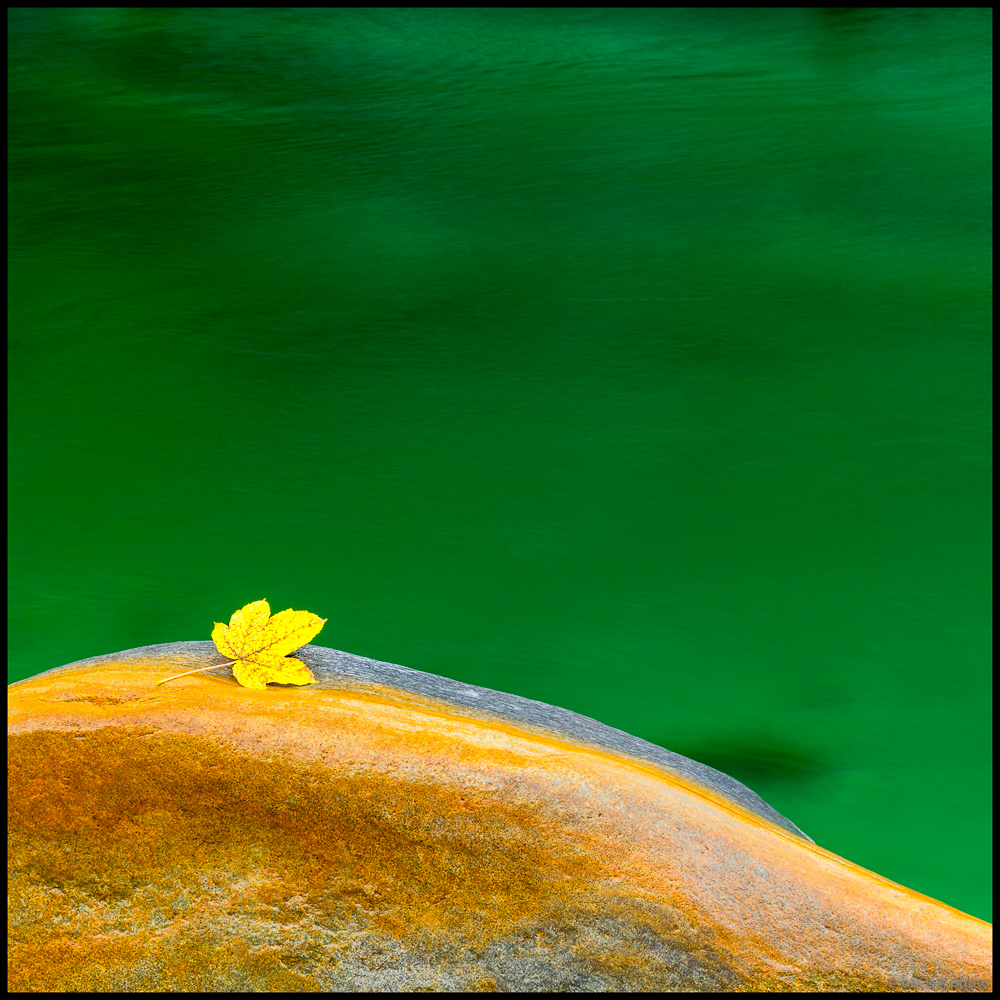 Alleine am Bach...