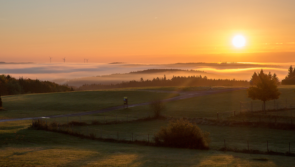 Sonnenaufgang in der Eifel