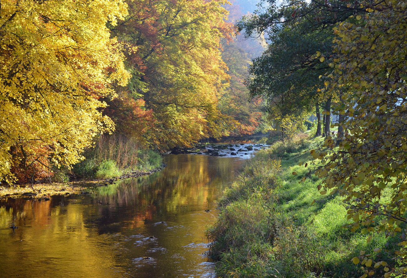 Bunter Herbst