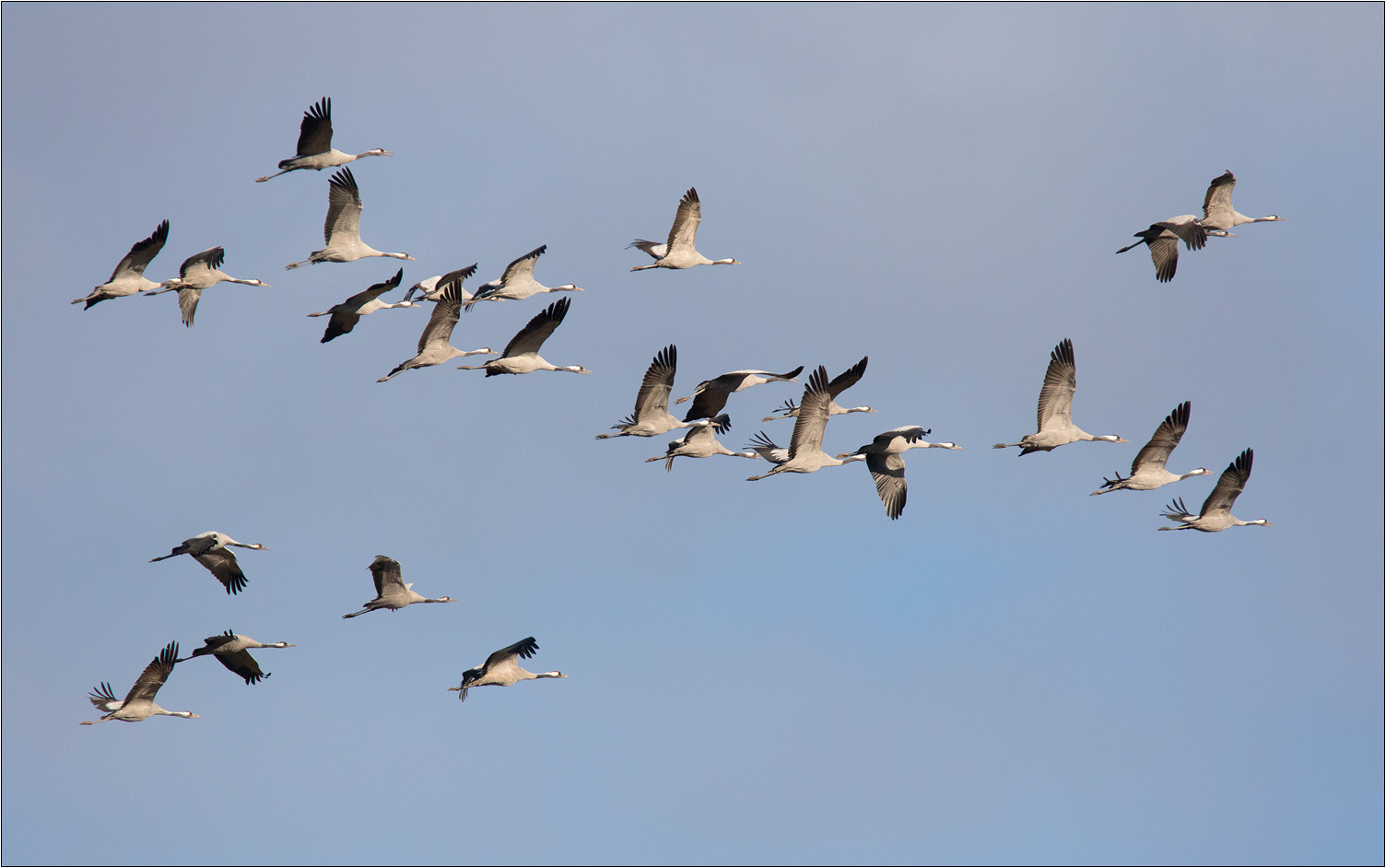 Formation