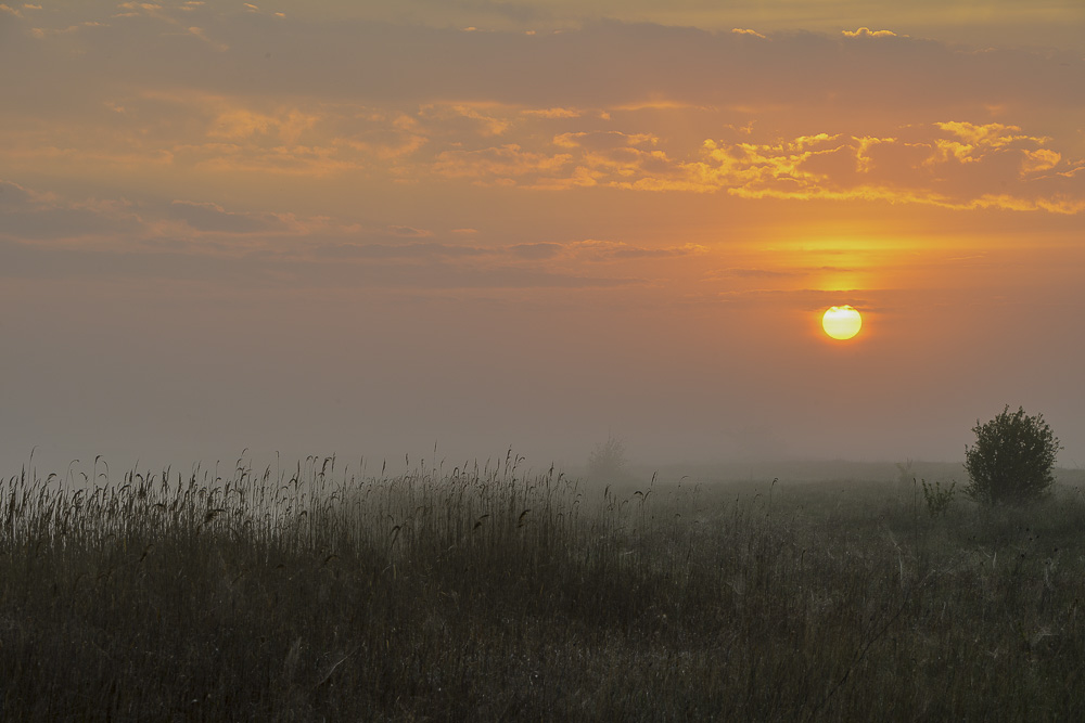 Sonnenaufgang in Austria