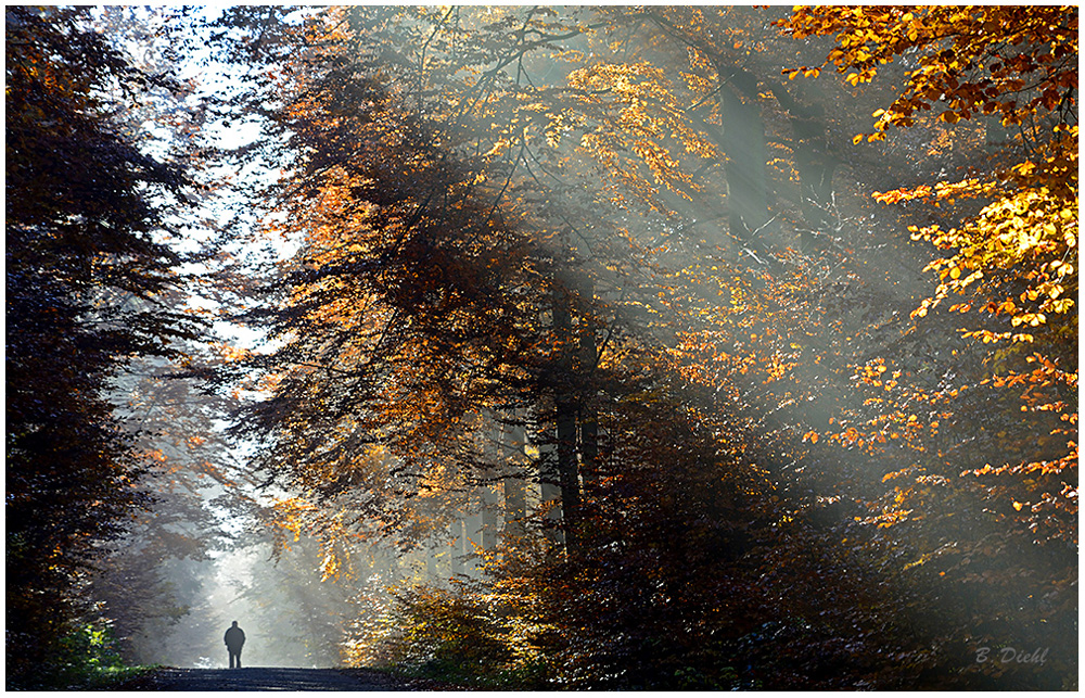 Herbstspaziergang