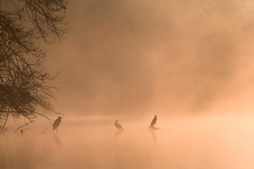 Herbststimmung am See II