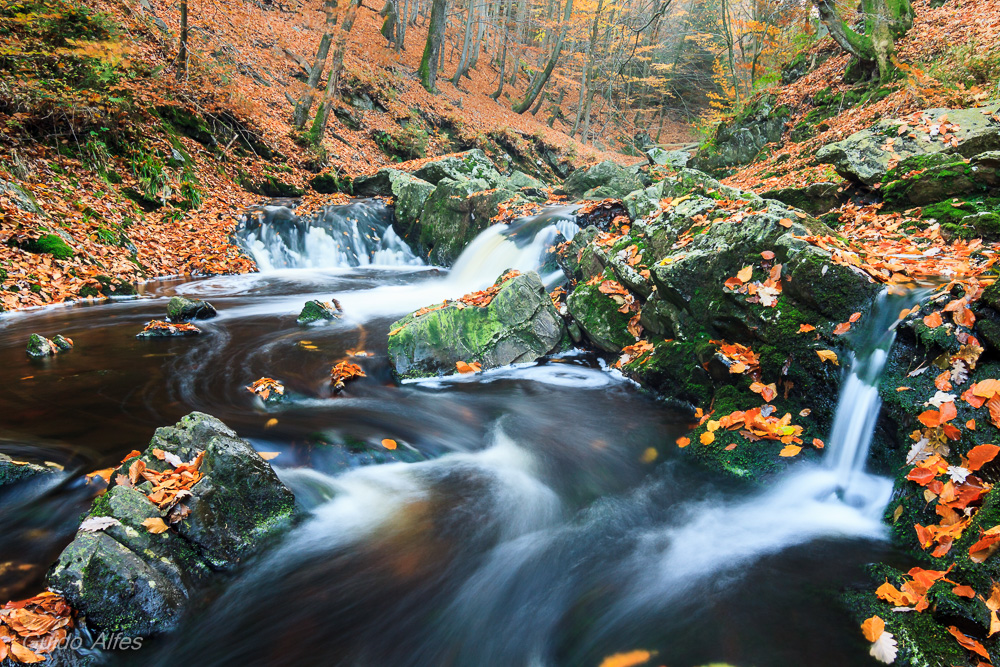 Herbst, herbstlicher, am herbstlichsten