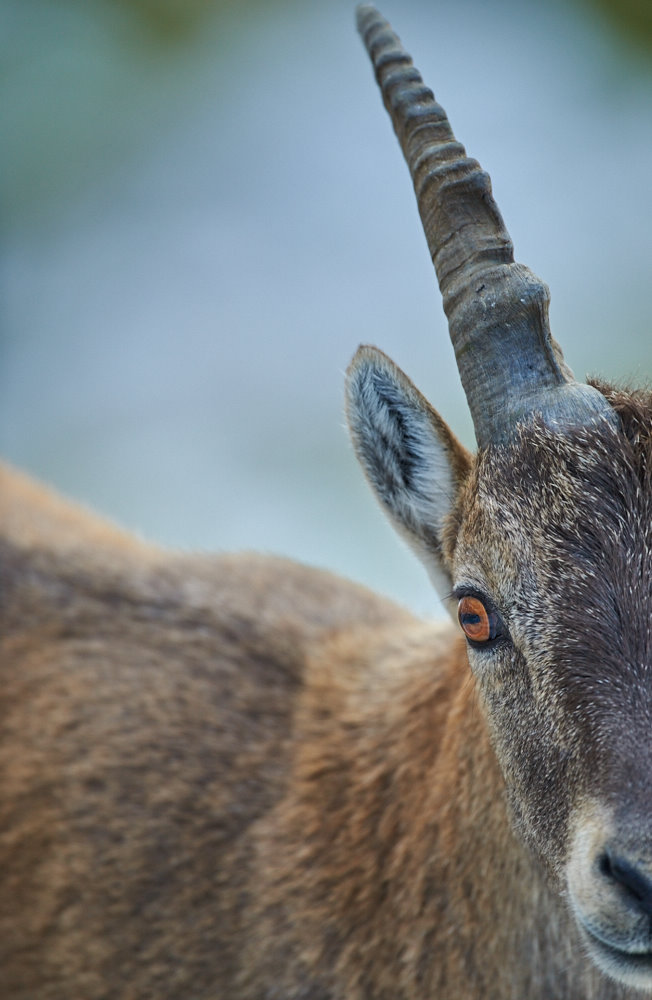 Nähe