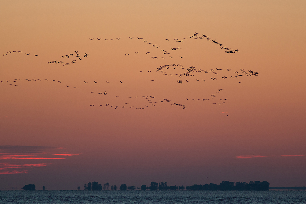 Abend am Bodden