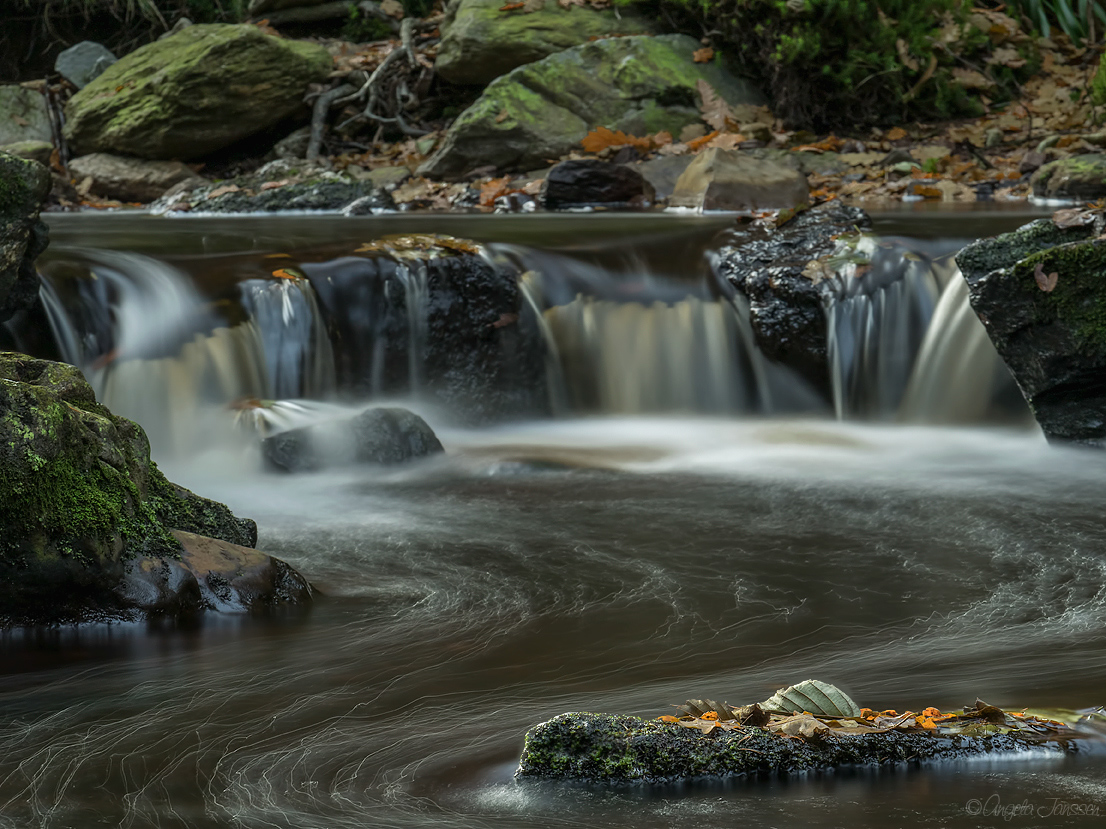 An der Hoegne 2