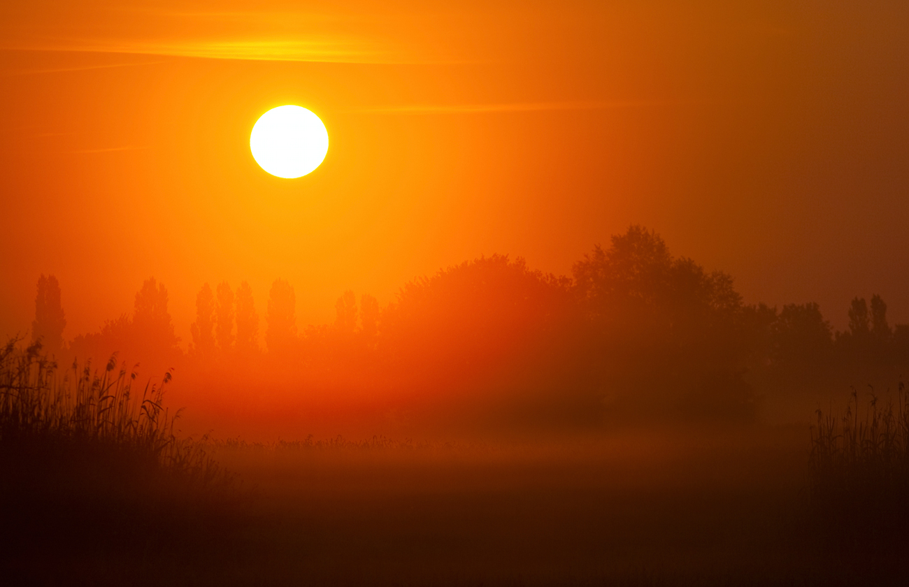 Sommer, Sonne und mehr.....