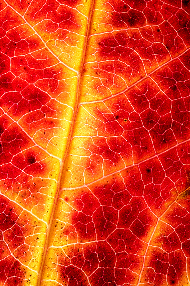 Herbstzeit