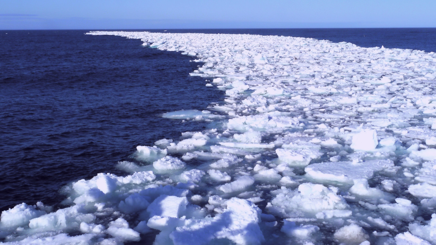 Treibeisgürtel vor Westspitzbergen