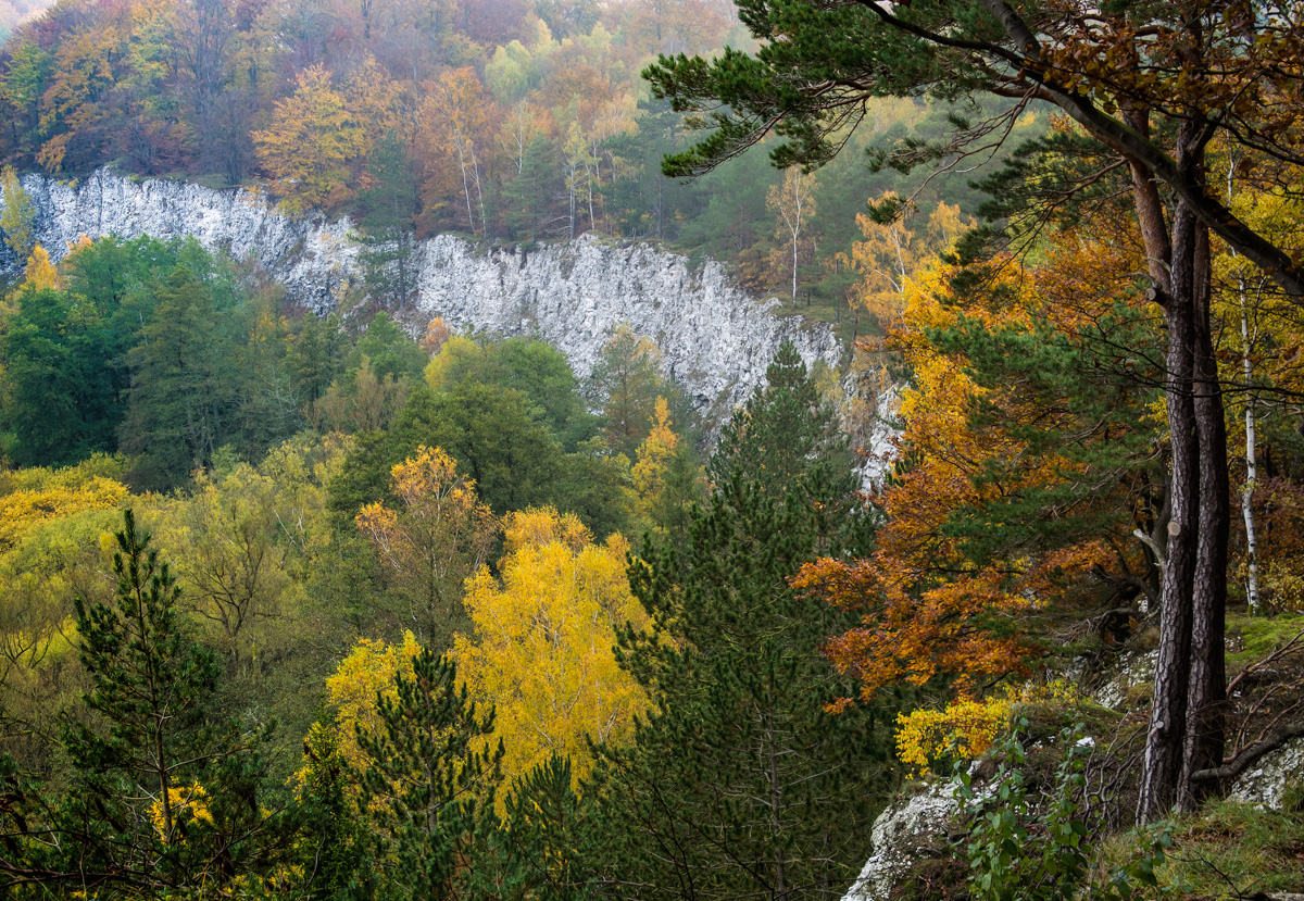 Gipskarstlandschaft im Herbst