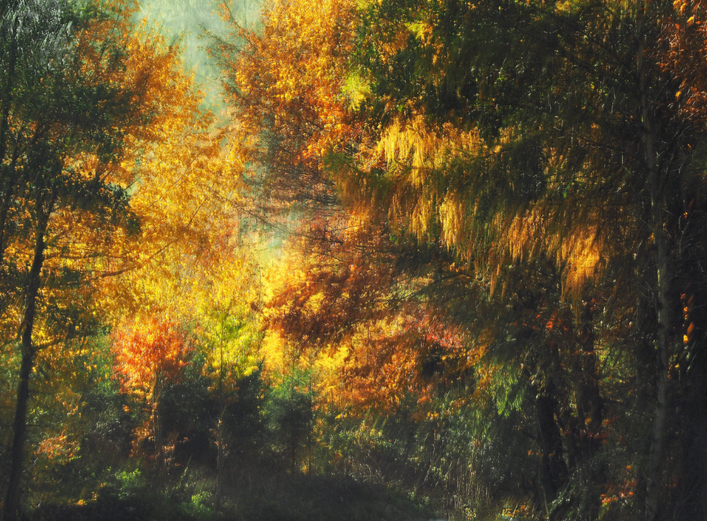 Herbstleuchten