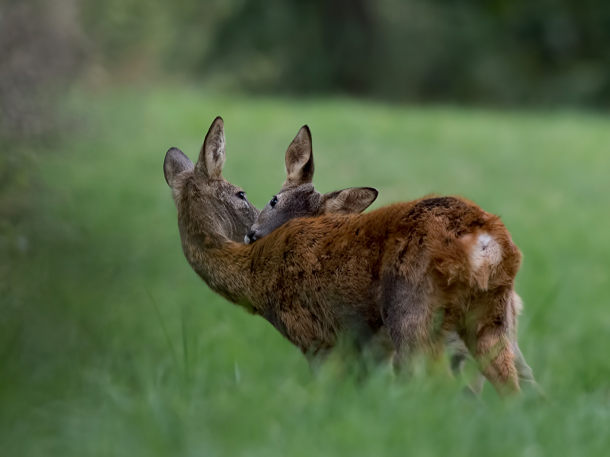 Mutter und Sohn