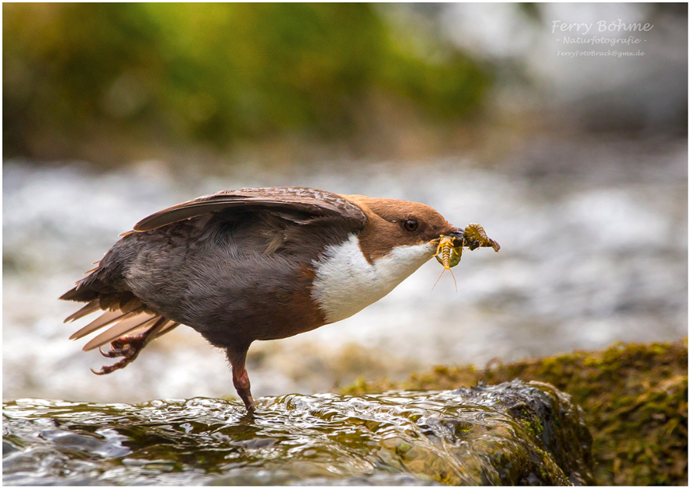 Futter-Yoga