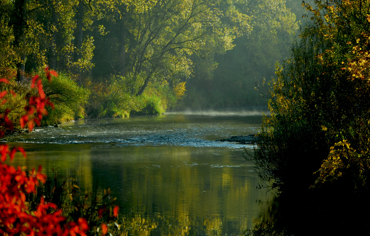 Morgens am Fluss