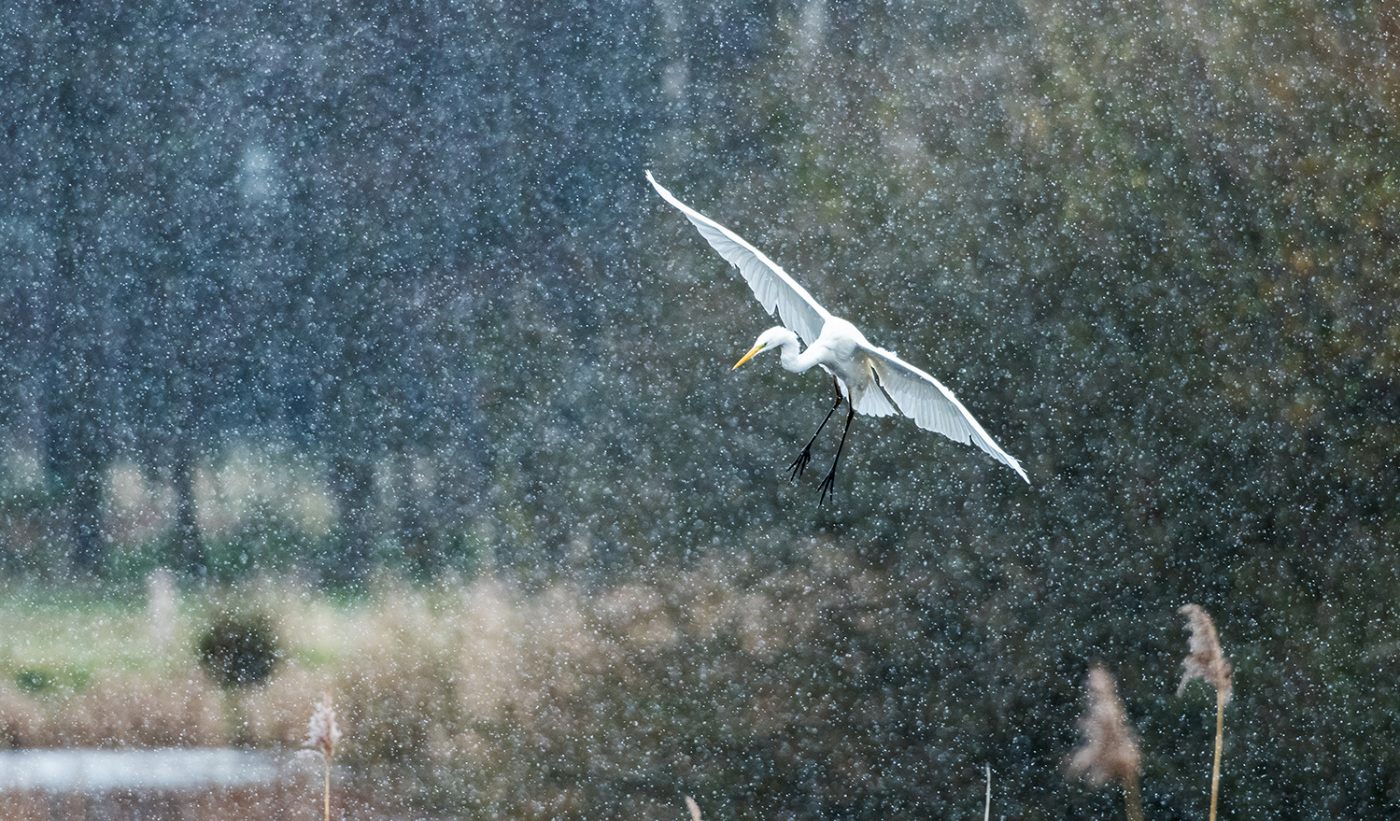 Der Wintereinbruch