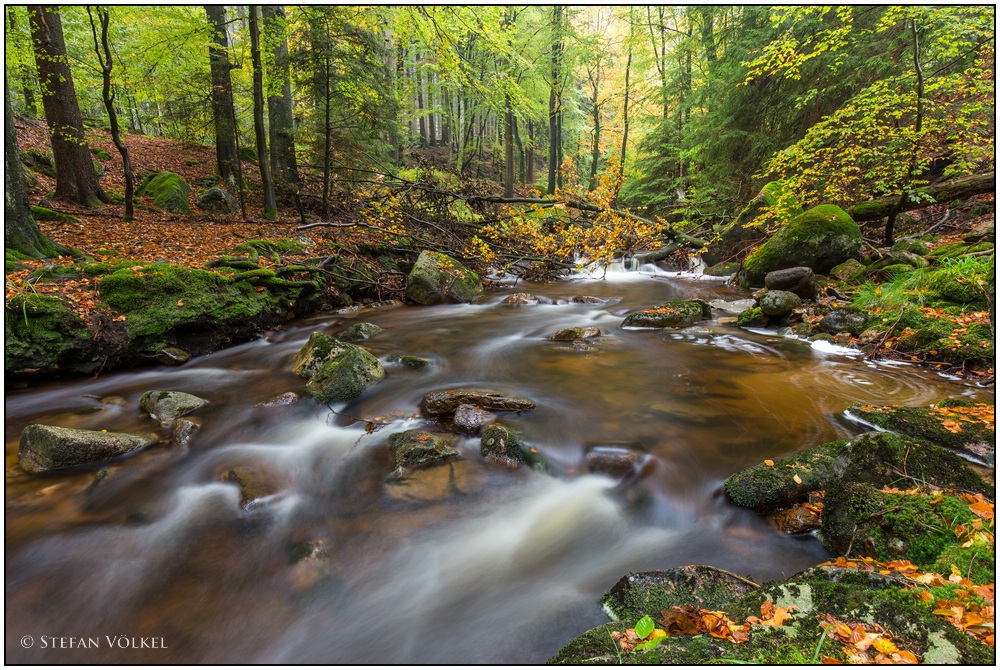 Ilsetal im NP Harz IV