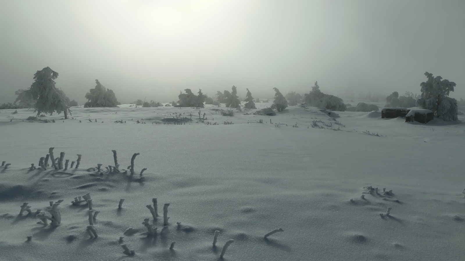 Winterlich