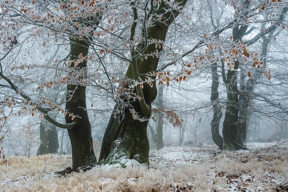 Etwas Frost