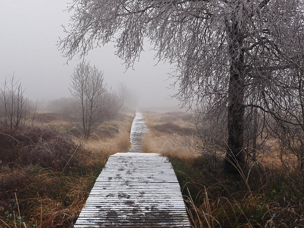 Der einzige Weg