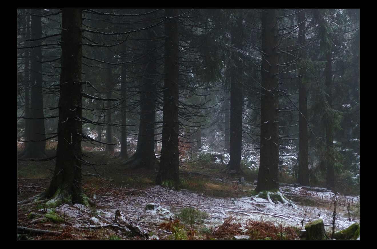 Winteranfang im Schwarzwald