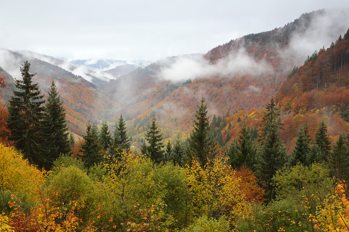 Volles Herbstfeeling