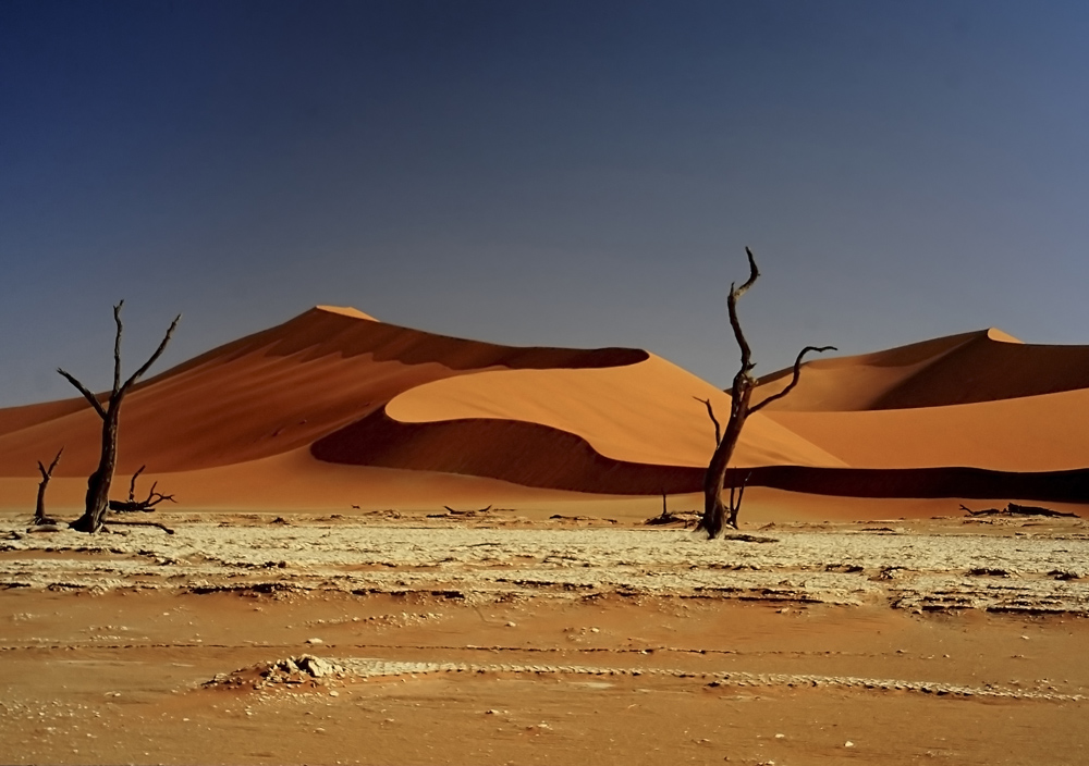 Dead Vlei Namib