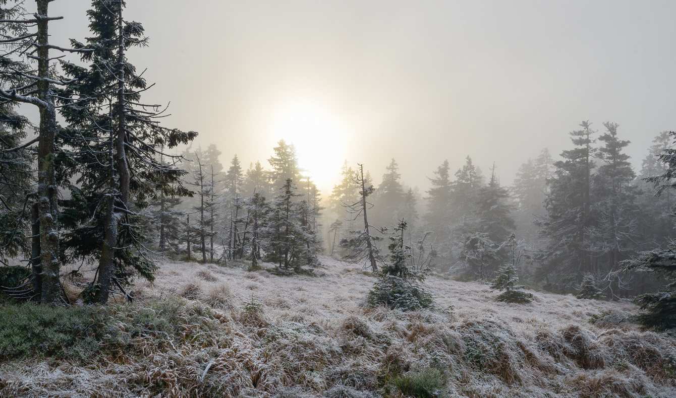 Winterluft