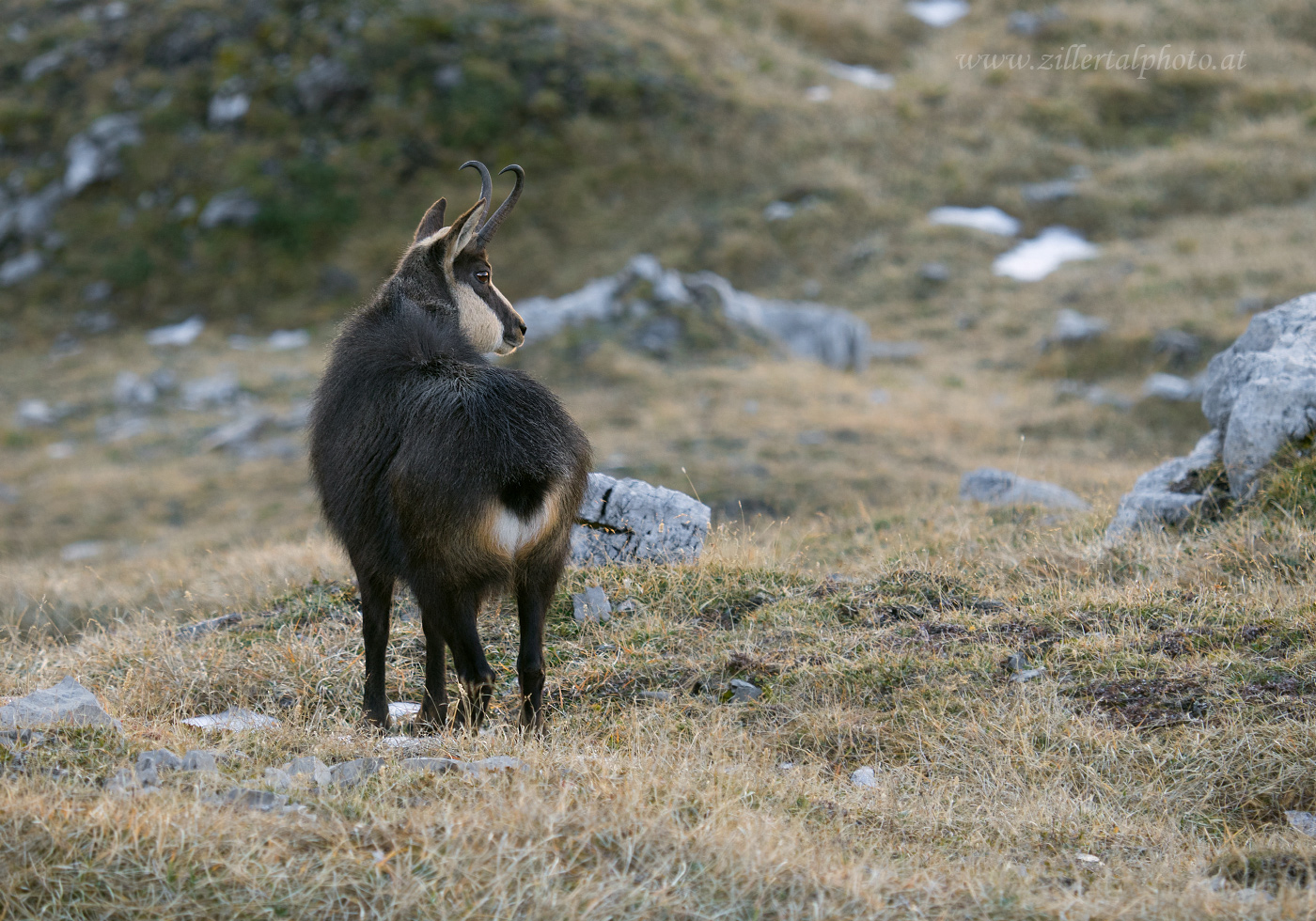 Im Karwendelgebirge, oder ...................