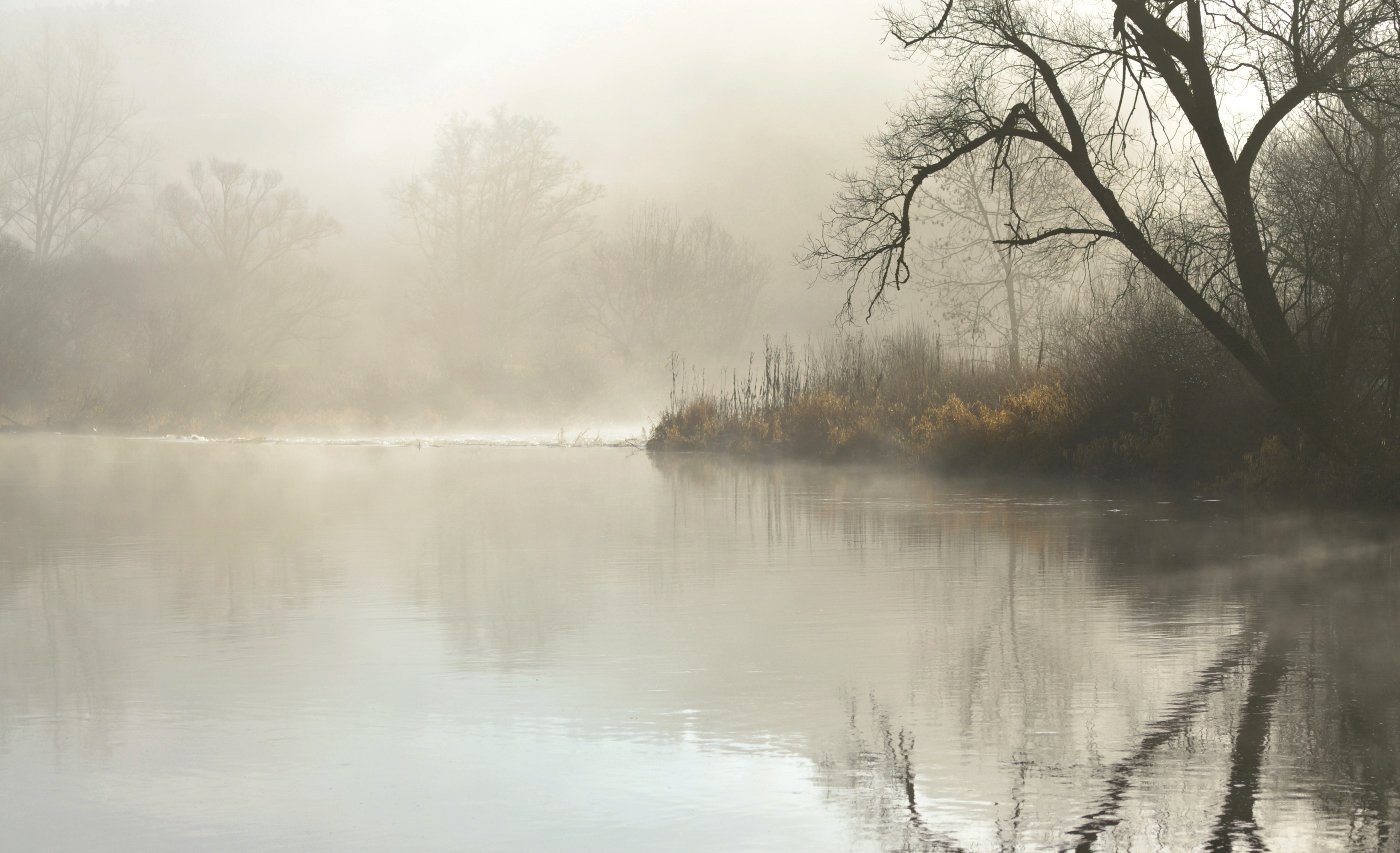 Morgens am Fluss