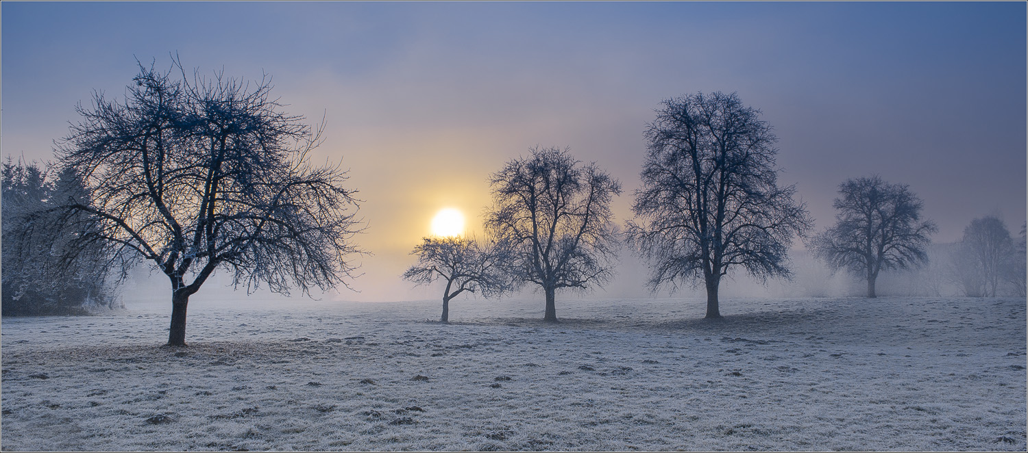 Morgens im Aichfeld