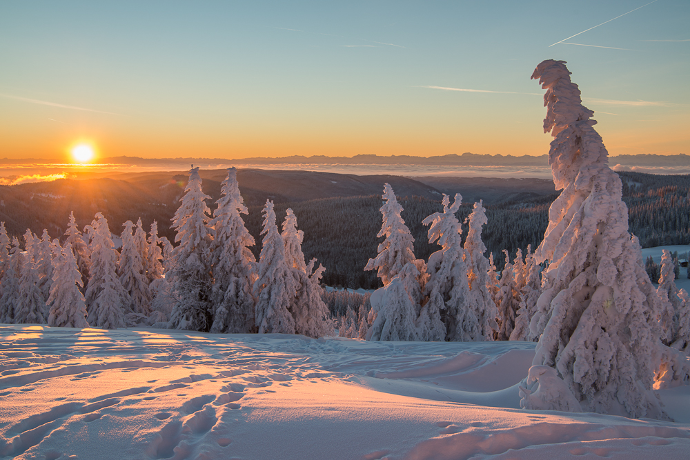 gestern Morgen auf dem Feldberg