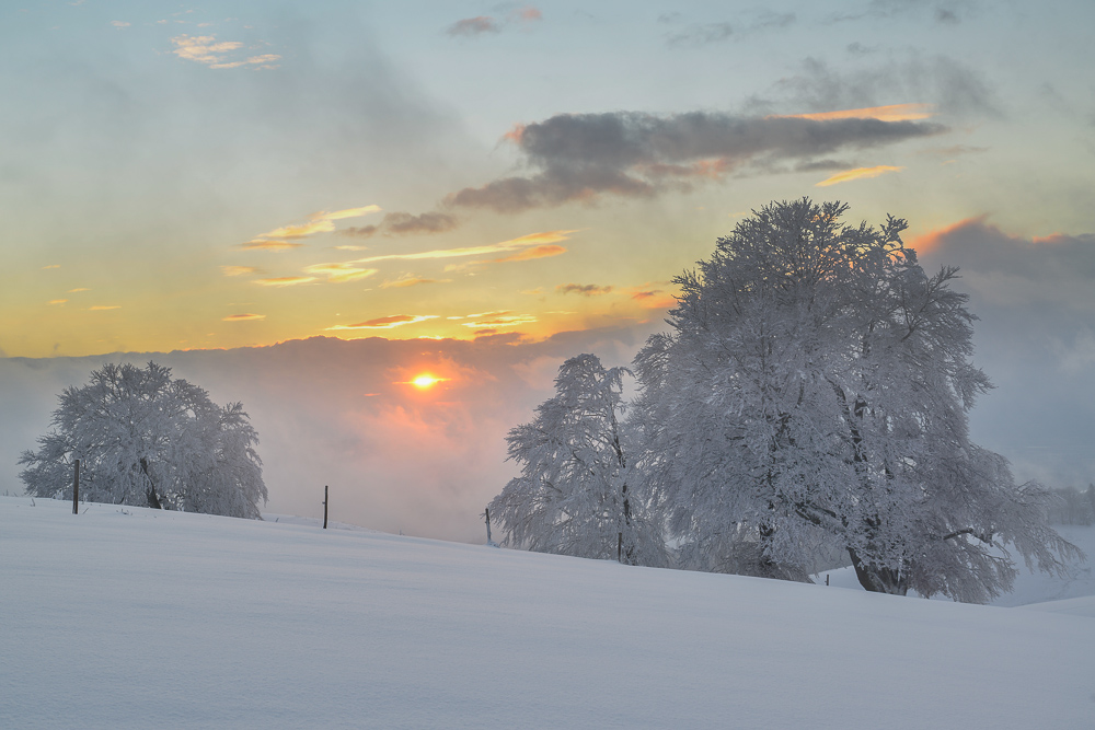 Winter auf dem Schauinsland