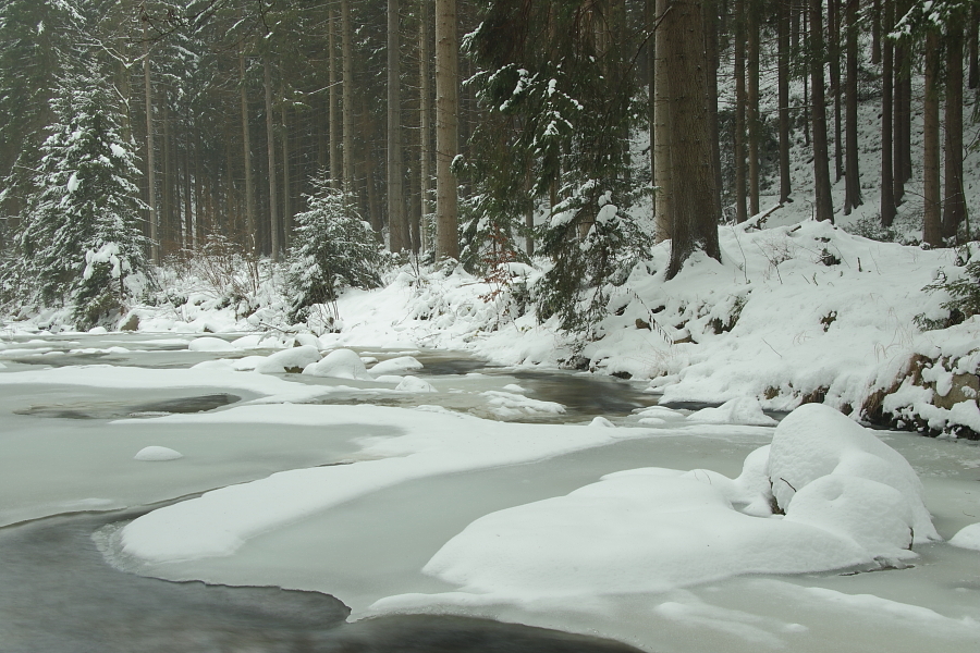 Winter an der Großen Bockau