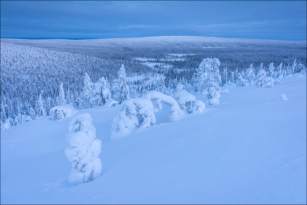 Kaamos.