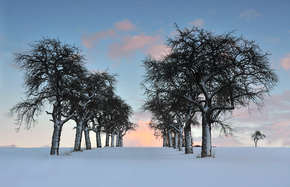 Schneeallee