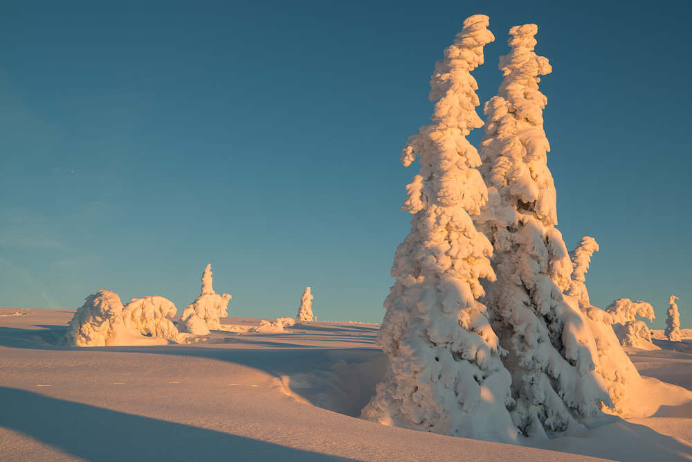 Winter auf dem Feldberg