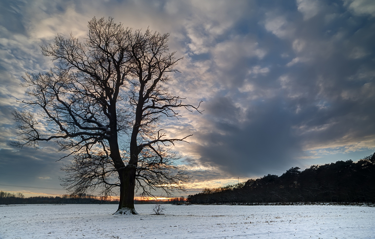 Winterabend auf dem Feld