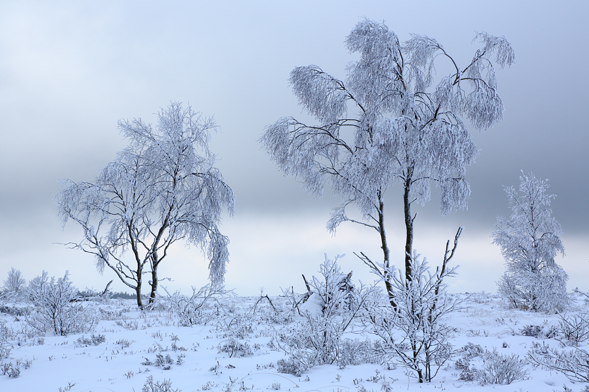 Winterlich im Winterlicht