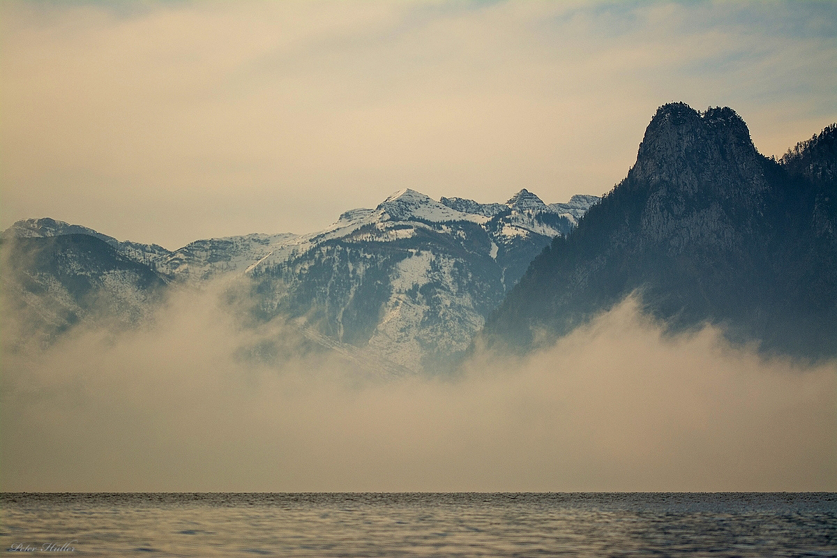 The Fog