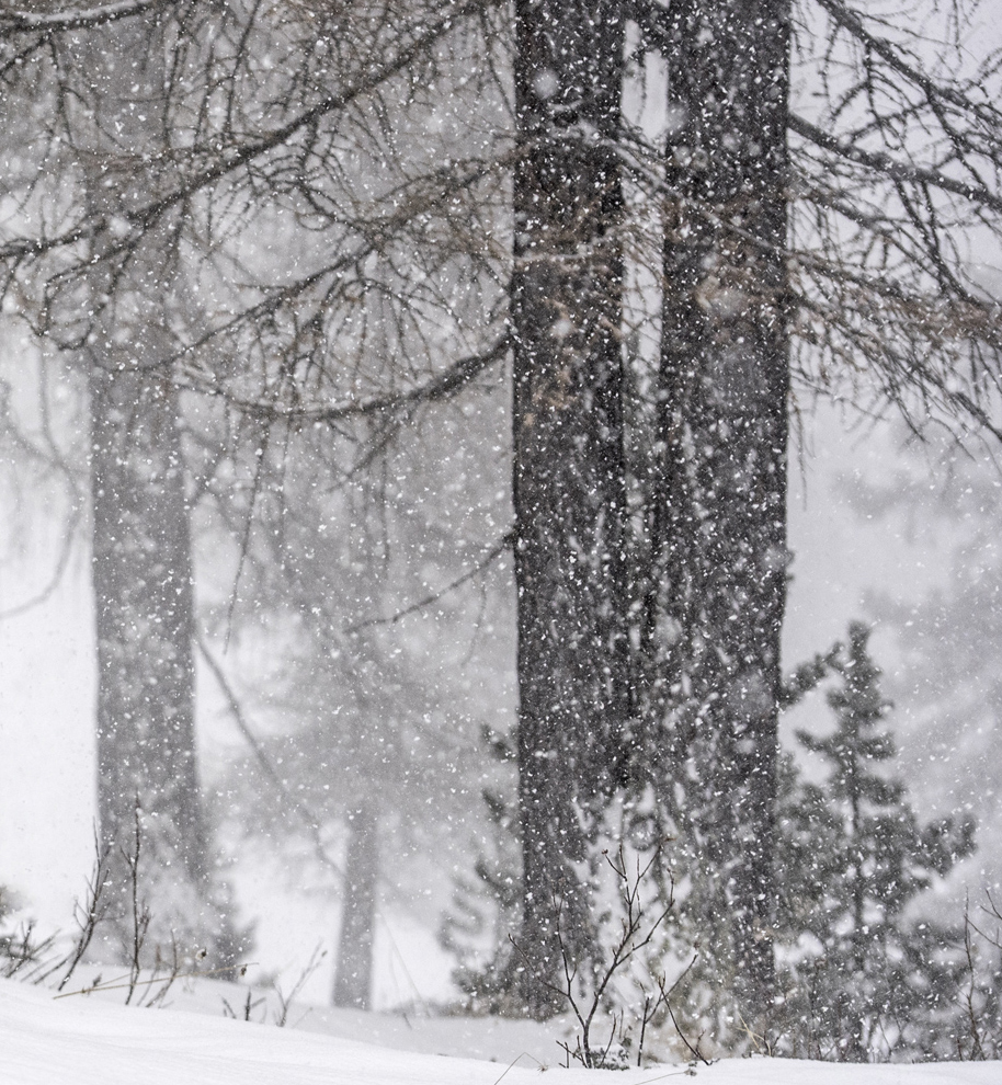 Kurz vor dem Schneesturm