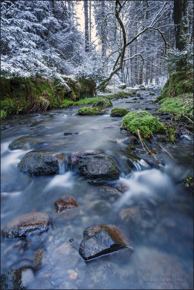 Winterstimmung am Silberbach