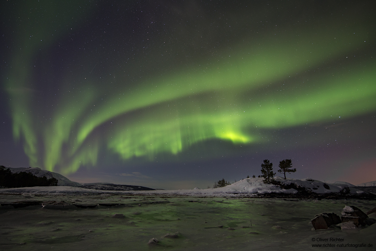 Aurora Borealis am Valentinstag