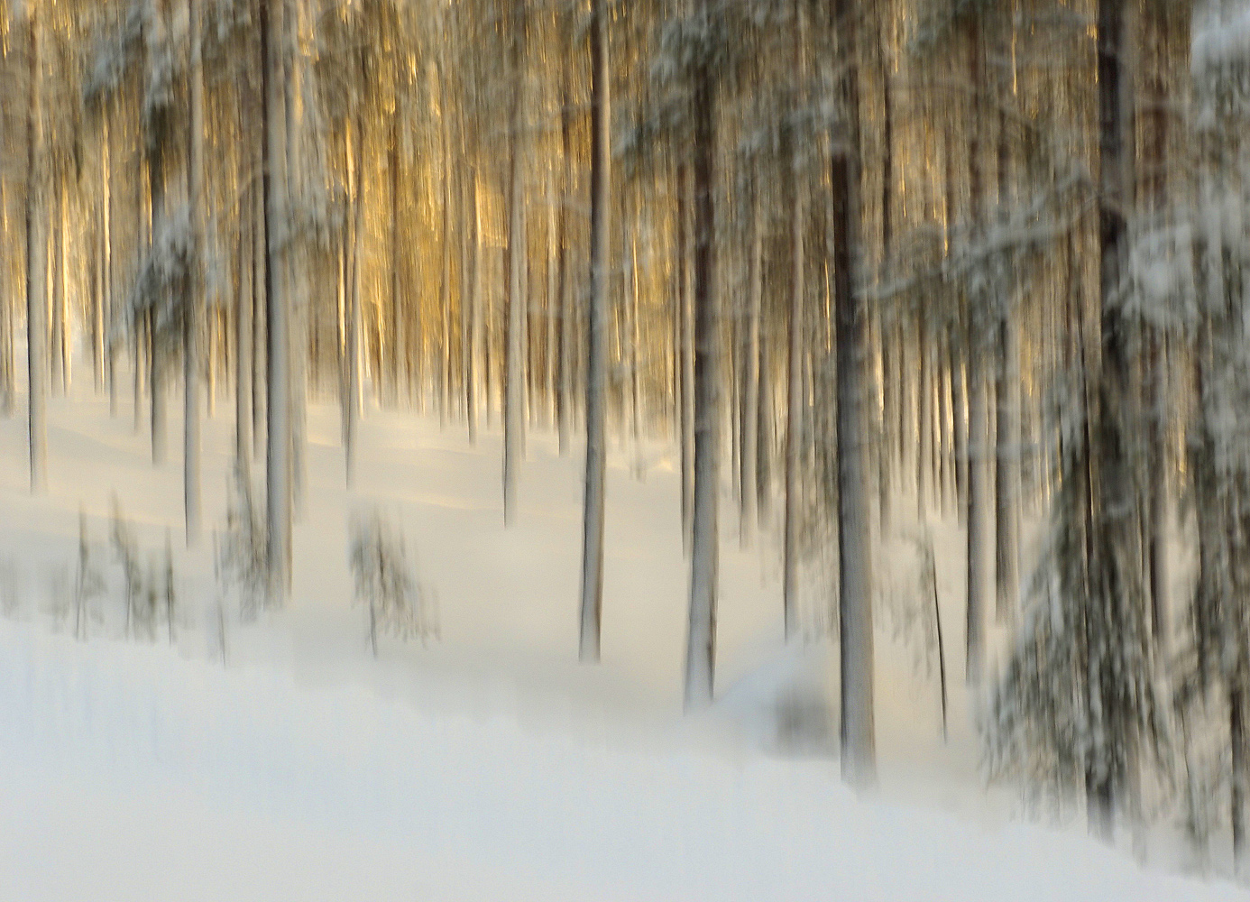 Finnlandwald