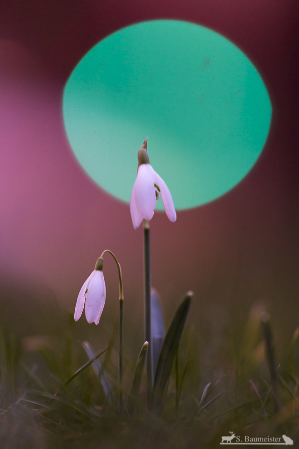 Lust auf Farbe