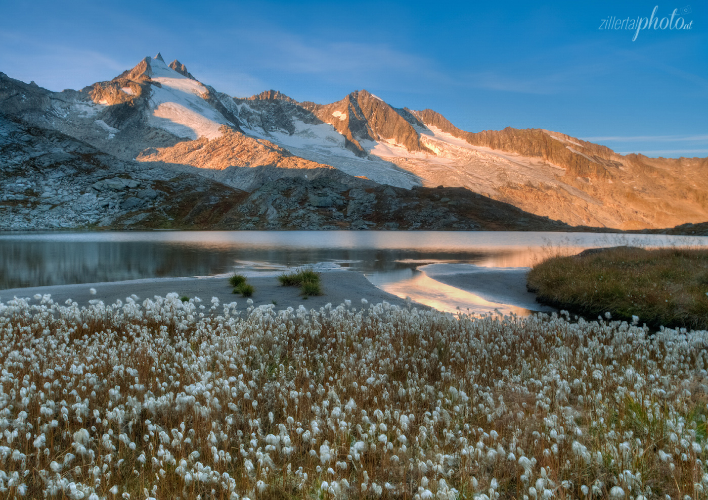 Sommermorgen in der Wollgraswiese