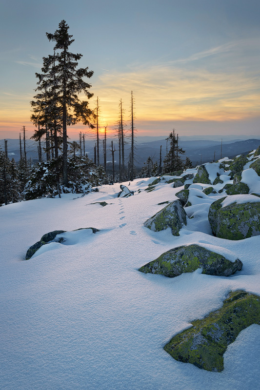 Sonnenuntergang auf dem Lusen