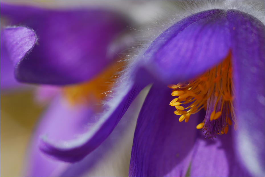 Licht und Farben