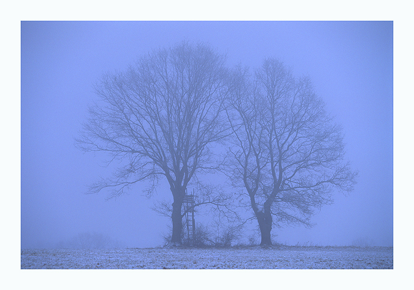 Wintermorgen